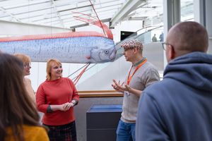Ab ins blaue Meer! Öffentliche Führung im OZEANEUM (Foto: Anke Neumeister / Deutsches Meeresmuseum) Ab ins blaue Meer! Öffentliche Führung im OZEANEUM (Foto: Anke Neumeister / Deutsches Meeresmuseum)
