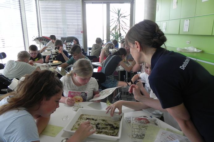 (Foto: Verena Kalter / Deutsches Meeresmuseum)