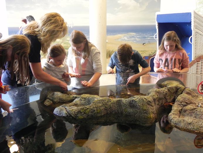 (Foto: Verena Kalter / Deutsches Meeresmuseum)