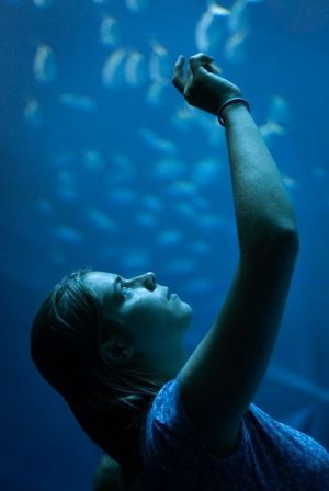 Abschied für FÖJlerin Selma im OZEANEUM (Foto: Sabine Ihl)