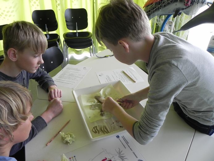 (Foto: Verena Kalter / Deutsches Meeresmuseum)